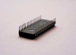 g554168f680a2211ba61d1fcee191ffcdc8f9ba7508f6b581d62f67c4883b3e94c66e2440de302225ed7d18f90a8097c05bf33a8e57afedf385b2e51ef31e5866_1280.jpg