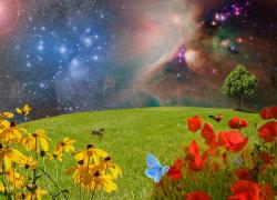 g7d7831149bd6ed75a8e1cf9962be19f7531a0764bbba488cffea98a23ba938fd8899ca01a2b8826694af29d197930264037747ed8b07d3c1d48d98b9e06db99d_1280.jpg